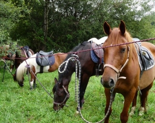  Horseback riding in bivouac